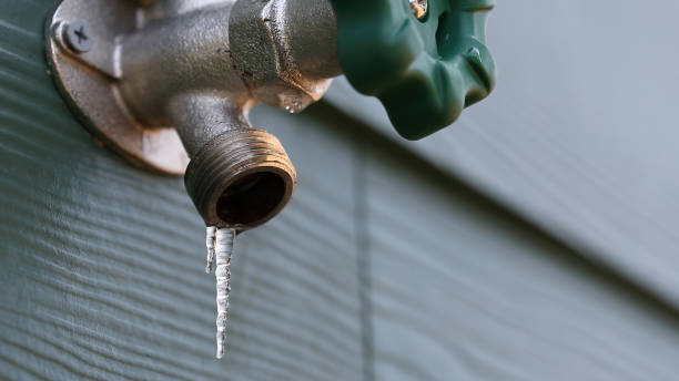 Best Clogged Drain Plumber  in Brighton, AL